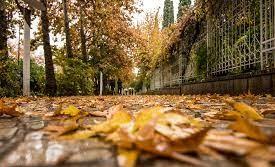 پاییز باغ ارم